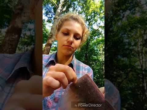 Как выделить из