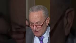 Schumer Asked If New York Democrats Are Reflecting On Poor Midterm Showing