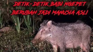 Download Lagu Live misteri‼️BANTU BUBARKAN RITUAL BAB1 NGEPET MP3 Download Lagu Live misteri‼️BANTU BUBARKAN RITUAL BAB1 NGEPET MP3