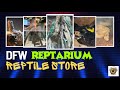 DFW Reptarium Reptile Store | #pets #reptiles #snake #youtubevideos