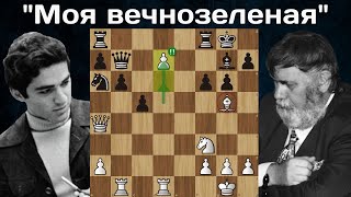 Блестящая партия 16-летнего Гарри Каспарова! Гарри Каспаров - Йозеф Пршибыл. Скара 1980. Шахматы