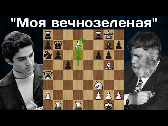 Порно қолы в тоба киски Үлкен семіз әйелдердің фотосуреттері