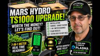 Mars Hydro TS1000 Review Is This the Best Budget Grow Light for Hydroponics