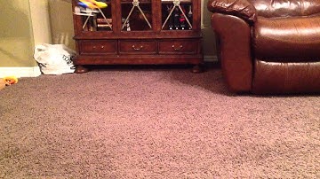 Blade 130x Post Repair Flight