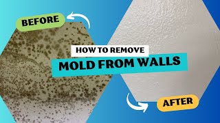 How to Remove Mold From Walls Step By Step