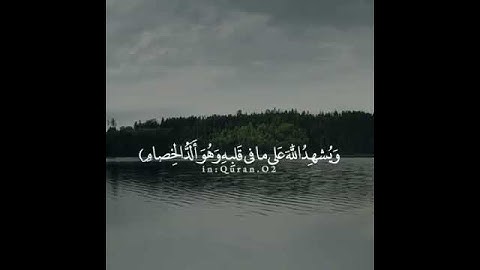 تلاوه خاشعه الشيخ خالد الجليل حالات واتس قرأن