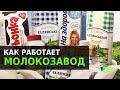 Как делают молочную продукцию: завод «Люстдорф» | Latifundist