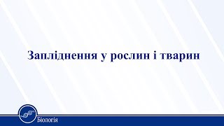 Урок 26. Біологія 11 клас Урок 26. Біологія 11 клас