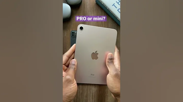 Would You Pick the iPad Mini? - DayDayNews