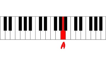 Note Quiz - Level 1 #4