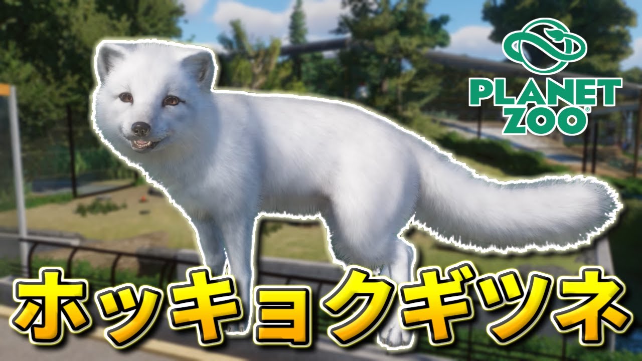 Planet Zoo ホッキョクギツネを北アメリカエリアで飼育しよう 動物園を作ろう 101 Youtube