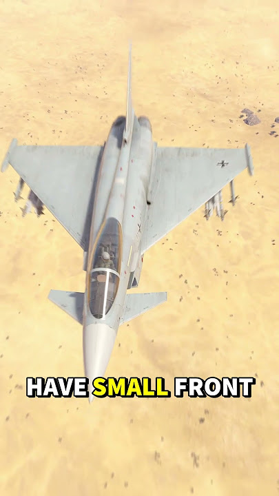 Why Do Some Jets Have Tiny Front Wings?