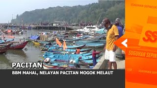 Pacitan  Bbm Mahal Nelayan Pacitan Mogok Melaut