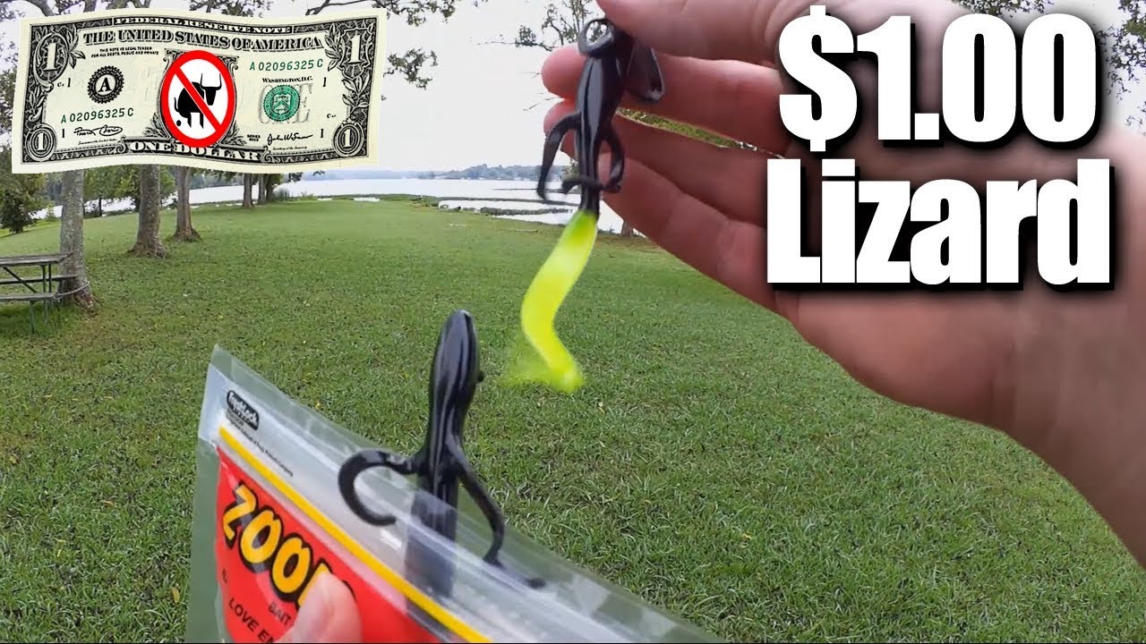 Fishing with a $1.00 Zoom Lizard - Walmart Clearance Bass Fishing 