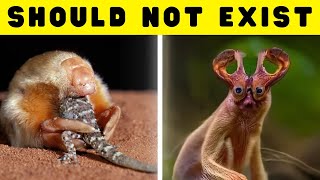 20 Unusual Animals You've NEVER Heard Of