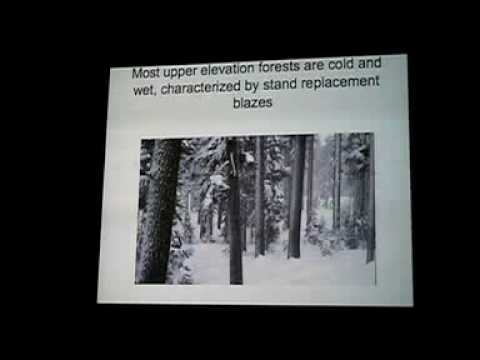 Forest Biomass Forum II: George Wuerthner (Part 2 ...