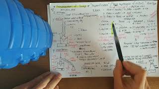 Preparation of soap leaving certificate chemistry higher level screenshot 1