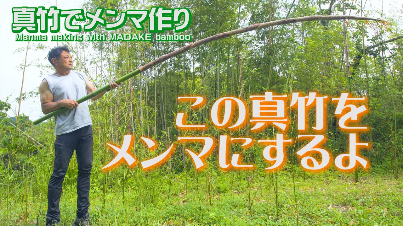 5mの真竹で美味しいメンマ作り! 干して発酵の本格メンマ - YouTube