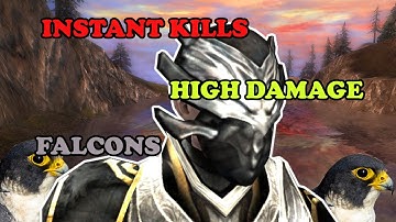 The best falconer you