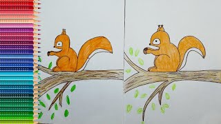 Как нарисовать БЕЛКУ? / How to draw a Squirrel?