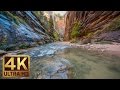 Zion National Park. Autumn - 4K Nature Documentary Film