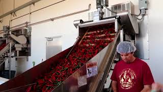 Famous Sriracha Sauce Factory Tour