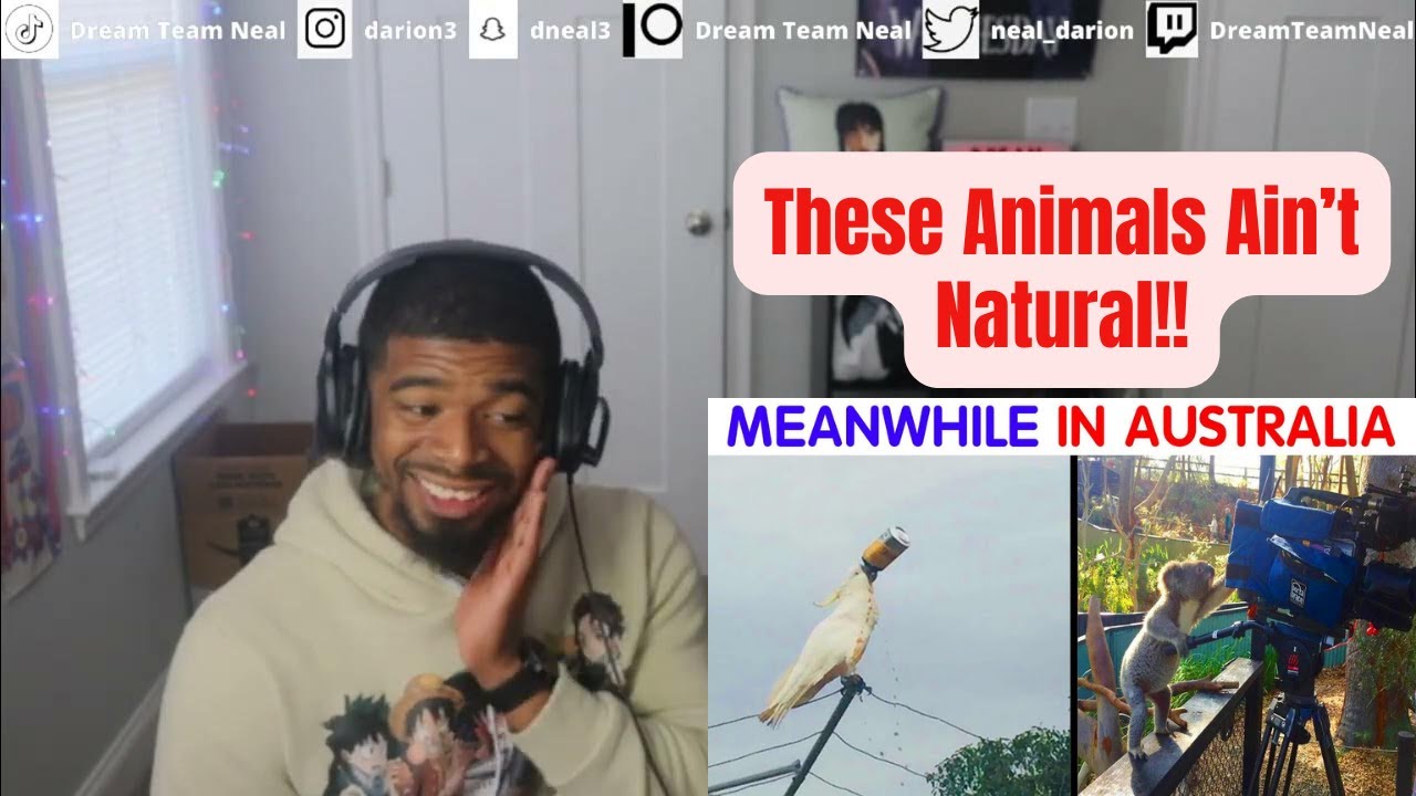 50 Photos That Prove Australia Is Not Like Any Other Country | American Reacts