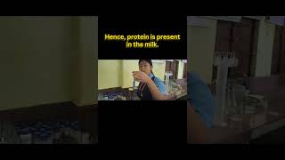 protein test ( Biuret test)