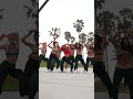 “Bump Like this” Kelly Rowland Dance Challenge on Venice Boardwalk. #dance #tiktokdance #dancers