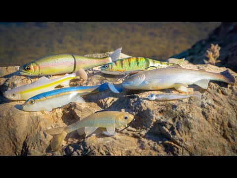 Fall Swimbait Tricks - Which Swimbaits Catch More Fish?