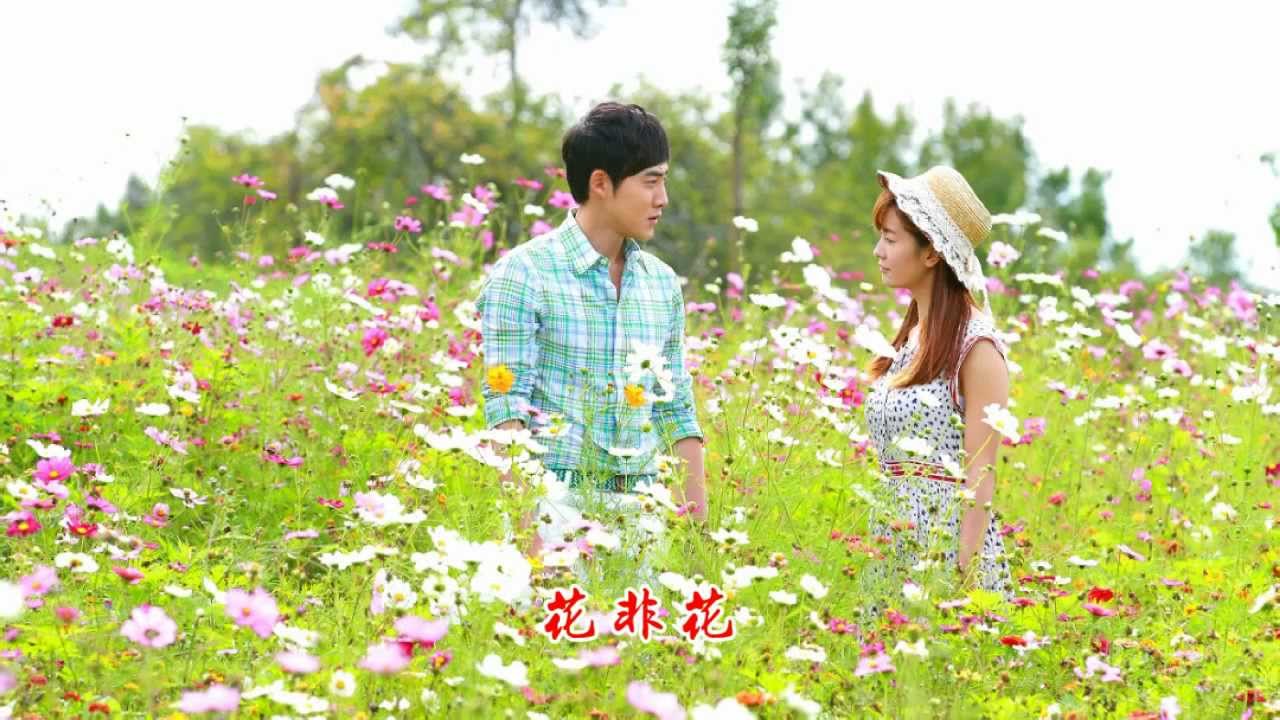 《花非花霧非霧》 Flowers In Fog OST 李晟 Li Sheng - 《花非花》 Hua Fei Hua 白居易版 theme song 720p HD