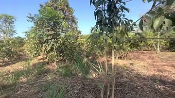 Bán lô đất Xuân hiệp Xuân Lộc đồng Nai