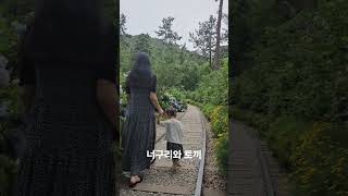해남 포레스트 수목원