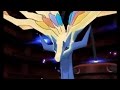 Pokemon xy  catching xerneas battle and cutscene