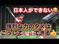 【目覚めよ！ゴルファー✋】日本人ができない強烈な力のタメはこうする！！
