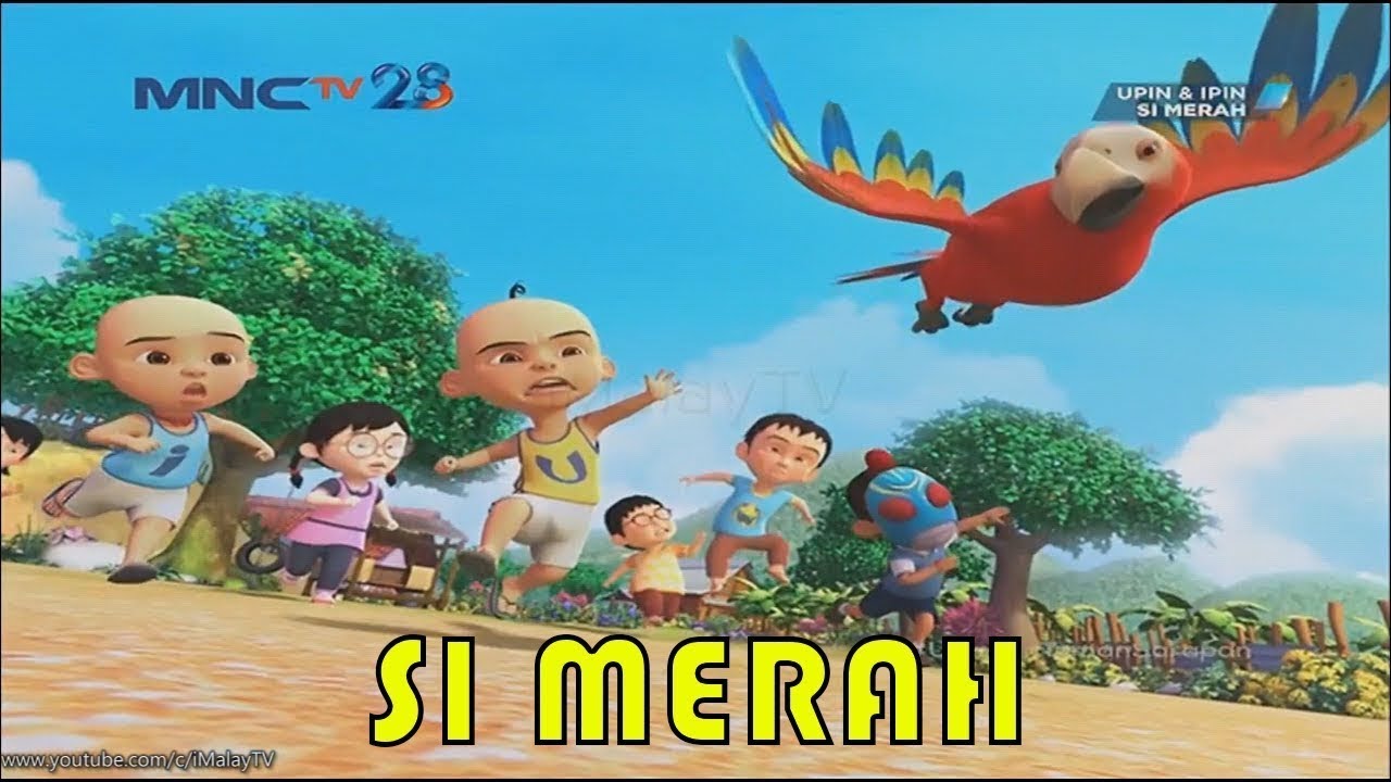 Upin & Ipin Si Merah Episode Terbaru 2020 | Upin Ipin Terbaru 2020 | Musim 13
