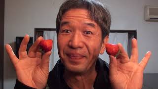 Strawberry ocarina