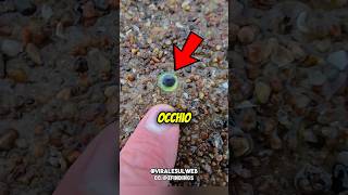 Pensava fosse un PESCE,ma poi…😱 #shorts