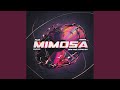 Mimosa Now And Forever