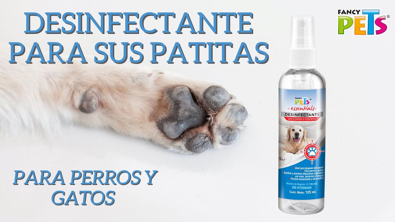 9 productos de limpieza que querrás si tienes un perro o gato