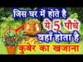 Lucky Plants for Home | Lucky Trees According Vastu वास्तुअनुसार ये 5 पौधे जो होते है शुभ