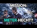 Mission: METERHECHT!? - Möhnesee-Guiding mit ULI BEYER 🎣