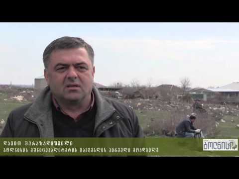 ბოლნისში წყლის რესურსების საერთაშორისო დღესთან დაკავშირებით დასუფთავების აქცია მოეწყო