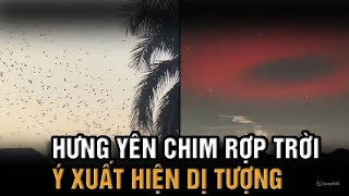 Chim bay kín trời KCN Yên Mỹ, Hưng Yên; Quầng sáng đỏ bí ẩn xuất hiện trên bầu trời Ý