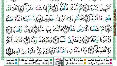 مصحف عمر القزابري برواية ورش فيديو  مكتوب ملون سورة 080  عبس