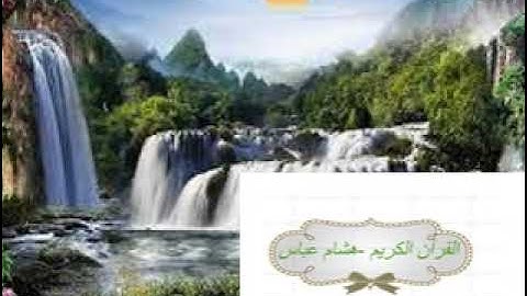 فضيلة الشيخ محمود سلمان الحلفاوي وما تيسر من سورة الكهف - اجعلوا القرآن الكريم منهاج حياة لأولادكم.