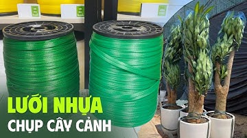 Túi lưới đa năng chụp cây cảnh. Tuiluoithanhha.com