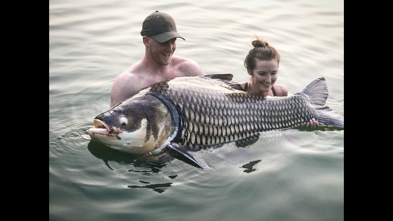 Gillhams Thailand 2018
