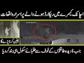 para noraml activities caught on camera you cant believe in urdu hindi | Urdu Cover