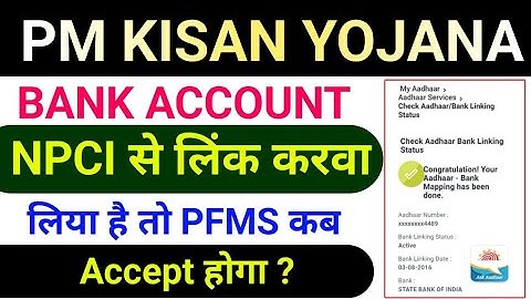 Bank खाता NPCI से Link करा लिया है तो Pfms Accepted कब और कैसे होगा || Pm kisan Pfms Bank Status ||